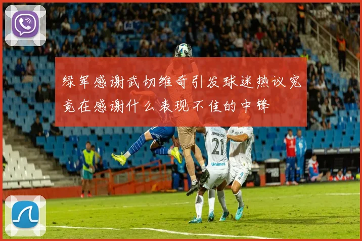 绿军感谢武切维奇引发球迷热议究竟在感谢什么表现不佳的中锋