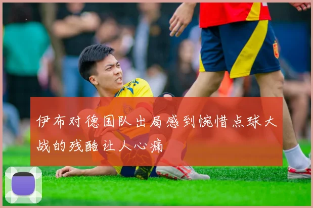 伊布对德国队出局感到惋惜点球大战的残酷让人心痛